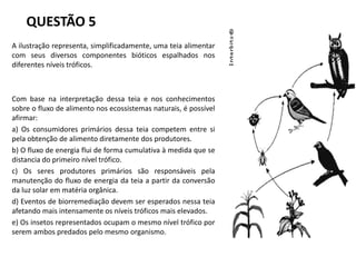 QUESTÃO 5
A ilustração representa, simplificadamente, uma teia alimentar
com seus diversos componentes bióticos espalhados nos
diferentes níveis tróficos.
Com base na interpretação dessa teia e nos conhecimentos
sobre o fluxo de alimento nos ecossistemas naturais, é possível
afirmar:
a) Os consumidores primários dessa teia competem entre si
pela obtenção de alimento diretamente dos produtores.
b) O fluxo de energia flui de forma cumulativa à medida que se
distancia do primeiro nível trófico.
c) Os seres produtores primários são responsáveis pela
manutenção do fluxo de energia da teia a partir da conversão
da luz solar em matéria orgânica.
d) Eventos de biorremediação devem ser esperados nessa teia
afetando mais intensamente os níveis tróficos mais elevados.
e) Os insetos representados ocupam o mesmo nível trófico por
serem ambos predados pelo mesmo organismo.
 