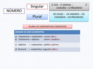 NÚMERO
Singular
Plural
O GÁS – O ANIMAL – O
CIDADÃO – O PÃOZINHO
OS GASES – OS ANIMAIS – OS
CIDADÃOS – OS PÃEZINHOS
PLURAL DE SUBSTANTIVOS COMPOSTOS
VARIAM OS DOIS ELEMENTOS:
a) Substantivo + substantivo : couves-flores
b) Substantivo + adjetivo : amores-perfeitos
c) Adjetivo + substantivo: públicas-formas
d) Numeral + substantivo: segundas-feiras
 