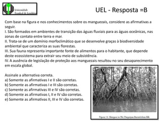 UEL - Resposta =B
Com base na figura e nos conhecimentos sobre os manguezais, considere as afirmativas a
seguir.
I. São formados em ambientes de transição das águas fluviais para as águas oceânicas, nas
zonas de contato entre terra e mar.
II. Trata-se de um domínio morfoclimático que se desenvolve graças à biodiversidade
ambiental que caracteriza as suas florestas.
III. Sua fauna representa importante fonte de alimentos para o habitante, que depende
deste ecossistema para extrair seu meio de subsistência.
IV. A ausência de legislação de proteção aos manguezais resultou no seu desaparecimento
em escala global.

Assinale a alternativa correta.
a) Somente as afirmativas I e II são corretas.
b) Somente as afirmativas I e III são corretas.
c) Somente as afirmativas III e IV são corretas.
d) Somente as afirmativas I, II e IV são corretas.
e) Somente as afirmativas II, III e IV são corretas.
 