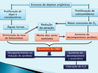 Excesso de dejetos orgânicos
Proliferação de
algas e
cianobactérias
Proliferação de
consumidores
Águas turvas
Maior consumo de O2
Diminuição da taxa
de fotossíntese
Redução
da aeração
Morte dos seres
sensíveis
Aumento de
decompositores aeróbios
Aumento da DBO
Desaparecimento ou
redução de aeróbios
Aumento de
decompositore
s anaeróbios
Liberação de H2S
 