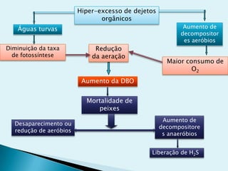 Hiper-excesso de dejetos
orgânicos
Águas turvas
Maior consumo de
O2
Diminuição da taxa
de fotossíntese
Redução
da aeração
Mortalidade de
peixes
Aumento de
decompositor
es aeróbios
Aumento da DBO
Desaparecimento ou
redução de aeróbios
Aumento de
decompositore
s anaeróbios
Liberação de H2S
 