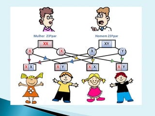 XX
X
XY
XX Y
X X X Y YX XX
 