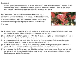 Questão 66
Na aula sobre morfologia vegetal, os alunos foram levados ao pátio da escola, para analisar um pé
de Mussaenda alicia, ou mussaenda-rosa-arbustiva. A professora chamou a atenção dos alunos
para algumas características da planta, cuja foto encontra-se a seguir.
Além das folhas e do tronco, os alunos observaram estruturas
cor-de-rosa e, no interior delas, as amarelas. A partir da observação,
levantaram hipóteses sobre tais estruturas. Assinale a alternativa
que contém a definição e o argumento corretos para a hipótese
levantada.
(A) As estruturas rosa são pétalas; pois, por definição, as pétalas são as estruturas chamativas da flor e
se observa que, nessa planta, essas são as estruturas mais vistosas.
(B) As estruturas rosa são flores; pois, por definição, flores são os órgãos que atraem os polinizadores e
tais estruturas são as mais chamativas da planta.
(C) As estruturas amarelas são flores; pois, por definição, flores contêm os órgãos reprodutivos da
planta e foram observados gineceu e androceu nessas estruturas.
(D) As estruturas amarelas são folhas; pois, por definição, folhas protegem os órgãos reprodutivos da
planta e foram observados androceu e gineceu internamente a essas estruturas.
(E) As estruturas rosa são folhas; pois, por definição, qualquer órgão presente na planta, que não seja
raiz, caule ou flor, independentemente de sua coloração, deve ser chamado de folha e tem por
função principal realizar fotossíntese.
 