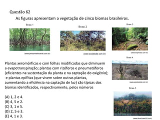 Questão 62
As figuras apresentam a vegetação de cinco biomas brasileiros.
Plantas xeromórficas e com folhas modificadas que diminuem
a evapotranspiração; plantas com rizóforos e pneumatóforos
(eficientes na sustentação da planta e na captação do oxigênio);
e plantas epífitas (que vivem sobre outras plantas,
aumentando a eficiência na captação de luz) são típicas dos
biomas identificados, respectivamente, pelos números
(A) 1, 2 e 4.
(B) 4, 5 e 2.
(C) 3, 1 e 5.
(D) 2, 5 e 3.
(E) 4, 1 e 3.
 