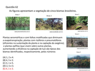 Questão 62
As figuras apresentam a vegetação de cinco biomas brasileiros.
Plantas xeromórficas e com folhas modificadas que diminuem
a evapotranspiração; plantas com rizóforos e pneumatóforos
(eficientes na sustentação da planta e na captação do oxigênio);
e plantas epífitas (que vivem sobre outras plantas,
aumentando a eficiência na captação de luz) são típicas dos
biomas identificados, respectivamente, pelos números
(A) 1, 2 e 4.
(B) 4, 5 e 2.
(C) 3, 1 e 5.
(D) 2, 5 e 3.
(E) 4, 1 e 3.
 