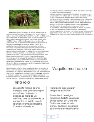 Revista...1