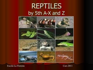 REPTILES by 5th A-X and Z Escola La Floresta Curs 2011 