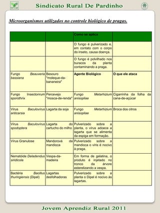 Caldas alternativas para controle de pragas O ataque de pragas e doenças é um dos maiores problemas enfrentados por pequenos ou grandes Produtores de hortaliças. As plantas podem ser atacadas por uma ampla gama de patógenos e insetos. Aaplicação de agrotóxicos é o meio mais usado para combater tanto pragas quanto doenças das hortaliças.Mas, além desses produtos custarem caro , a aplicação errada pode contaminar o trabalhador ,os próprios alimentos e o meio ambiente .Uma alternativa de baixo custo a mais segura para combater pragas e doenças das hortaliças é ouso de caldasNaturais, que podem ser preparadas pelo próprio agricultor ,usando produtos caseiro . Segundos o pesquisadorDa  Embrapa Rondônia , José Roberto vieira júnior ,existem alguns produtos naturais que podem ser usados nas lavouras e que têm menor toxidade do que os que os produtos químicos recomendados .”O risco é bem menorÀ saudade de quem está consumido e de quem está aplicando. Existem caldas à base de pimenta, de fumo,de cebola, de alho, entre outras “,explica.Mesmo utilizando produtos naturais,não se pode dispensar alguns cuidados na hora de preparar essas caldas,como o uso de luvas, óculos protetores,calça comprida e avental . Os produtos não devem ser ingeridos e precisam ser mantidos longe do alcance de crianças e animais.A equipe da Embrapa Rondônia apresenta duas receitas de caldas caseiras:uma, de fumo e extrato de pimentas vermelhas para o controle de pragas e a outra (caldas bordalesa)para o controle de doenças I. CALDA SULFOCÁLCICA(controle de doenças, ácaros, cochonilhas e outros insetos)Material para 20 litros de calda:5 Kg de enxofre + 2,5 Kg de cal virgem pura e bem calcinada (acima de 95%Ca O) + 2 tambores (com capacidade mínima de 40 litros)Modo de preparar:•Colocar 40 litros de água para ferver, num tambor de ferro ou latão;•Colocar 5 Kg de enxofre peneirado num segundo tambor (esmaltado de(Preferência ou de ferro, nunca de cobre), fora do fogo;•Adicionar (lentamente e ir mexendo) 5 litros de água quente e mais doisColheres de espalhaste adesivo (1 copo de álcool ou cachaça ou leite)Sobre o enxofre peneirado, para facilitar a mistura.•Em seguida, agitar forte essa calda com um bastão de madeira, até formarUma pasta Fonte: http://hotsites.sct.embrapa.br/prosarural/programacao/2008/alternativas-caseiras-para-o-controle-de-pragas-e-doencas-das-hortalicas Fonte da imagem: http://www.google.com.br/imgres?imgurl=http://4.bp.blogspot.com/ 