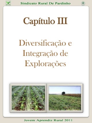 Microorganismos utilizados no controle biológico de pragas.