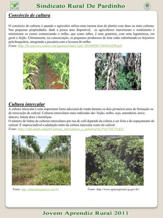 Capítulo IIIDiversificação e Integração de Explorações