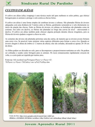 Integração animal-vegetal.Os agricultores familiares  praticam a agricultura convencional com grande dependência de insumos industriais externos a propriedade. Esses insumos, além de caros, geram comprometimentos a saúde do homem e dos animais, assim como do solo e da água, sendo estas atividades ocorrendo justamente em área de Mata Atlântica causando grande impacto ambiental. Pelo exposto um projeto de integração de produção animal e vegetal em sistemas orgânicos de produção já se justifica , mas também há necessidade ainda de se garantir as condições mínimas para que, principalmente, os agricultores familiares, construam conhecimento em práticas e processos agroecológicos consolidando os saberes locais em conjunto dos técnicos e tornando perene o seu trabalho em sistemas de produção orgânica, agregando valor ao produto e, consequentemente, melhorando a renda familiar. A introdução de animais como parte integrada dos agroecossistemas tropicais é considerada essencial como prática agroecológica visando a transição para sistemas sustentáveis, visto que seus dejetos são fontes primordiais de matéria orgânica para fertilização das áreas de lavoura e de pastagens, via compostagem, além da melhor distribuição da renda do agricultor, principalmente daqueles com culturas estacionais, onde o produto de origem animal fornece proteína de qualidade e retorno mensal durante todo o ano. Assim o objetivo deste projeto é trabalhar com processos naturais ao invés de tentar dominá-los via artifícios e por minimizar o uso de recursos naturais não renováveis; tais como, o combustível fóssil utilizado para a manufatura de fertilizantes e pesticidas. Os princípios da agroecologia aplicados aos sistemas de produção orgânica também englobam altos padrões de bem-estar animal e o melhoramento da infra-estrutura de ambiente da propriedade. A proposta foi de integrar a criação animal nas unidades de produção agrícola orgânica de hortaliças dos cooperados da Associação de Produtores Orgânicos do Vale do Rio Preto - Horta Orgânica, utilizando práticas de bases agroecológicas. Como o projeto está em andamento, inicialmente foram introduzidos duas cabras leiteiras e 50 aves de postura para 10 agricultores no primeiro ano, depois para o restante: sendo 20 no segundo e 30 no terceiro ano, identificados conforme metodologia de construção participativa. Serão ainda utilizadas duas unidades de produção que já adotam o manejo em bases agroecológias com o unidades de referência. A partir dessas, pretende-se introduzir o manejo nas demais unidades de produção com o objetivo de torná-las unidades de produção auto-suficientes utilizando os resultados de pesquisa em tecnologias agroecológicas desenvolvidas na Fazendinha Agroecológica do KM 47-Embrapa Agrobiologia/Solos; CTUR/UFRRJ e Pesagro-Rio. Como resultados parciais obtidos, visto que o projeto vem sendo desenvolvido há quase dois anos sendo, porém no primeiro somente para implantação, observou-se com base na realidade local da região serrana do Rio que, a partir de simulações que a receita liquida da produção animal em transição é suficiente para cobrir todos os custos da produção vegetal com sobra de R$246,00 reais por ano que como valor bruto não é significativo. Entretanto foi constatado que houve um aumento da renda mensal do produtor rural integrado (vegetal + animal) em R$666,33 reais, representando um aumento em 43,4% sobre o valor de R$1535,00 reais mensais que eram obtidos apenas com a produção vegetal. Deve-se também ressaltar que o valor da produção vegetal é recebido no período de 8 meses, mas que no entanto deve ser utilizado em 12 meses. Fonte: http://www.cnpab.embrapa.br/publicacoes/artigos/producao-animal-hortalicas.html