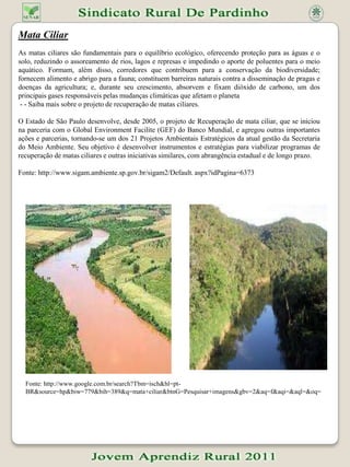 Capítulo IVRedesenho da Paisagem