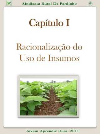 Capítulo IRacionalização do    Uso de InsumosCapítulo IRacionalização do    Uso de Insumos