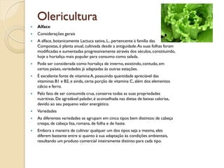 Olericultura
   Alface
   Considerações gerais
   A alface, botanicamente Lactuca sativa, L., pertencente à família das
    Compostas, é planta anual, cultivada desde a antiguidade. As suas folhas foram
    modificadas e aumentadas progressivamente através dos séculos, constituindo,
    hoje a hortaliça mais popular para consumo como salada.
   Pode ser considerada como hortaliça de inverno, existindo, contudo, em
    certos países, variedades já adaptadas às outras estações.
   É excelente fonte de vitamina A, possuindo quantidade apreciável das
    vitaminas B1 e B2, e ainda, certa porção de vitamina C, além dos elementos
    cálcio e ferro.
   Pelo fato de ser consumida crua, conserva todas as suas propriedades
    nutritivas. De agradável paladar, é aconselhada nas dietas de baixas calorias,
    devido ao seu pequeno valor energético.
   Variedades
   As diferentes variedades se agrupam em cinco tipos bem distintos: de cabeça
    crespa, de cabeça lisa, romana, de folha e de haste.
   Embora a maneira de cultivar qualquer um dos tipos seja a mesma, eles
    diferem bastante entre si quanto à sua adaptação às condições ambientais,
    resultando um produto comercial inteiramente distinto para cada tipo.
 