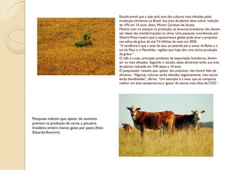 Estudo prevê que a soja será uma das culturas mais afetadas pelas
                                                  mudanças climáticas no Brasil. Sua área de plantio deve sofrer redução
                                                  de 10% em 10 anos. (foto: Miriam Cardoso de Souza)
                                                  Mesmo com os avanços na produção, as lavouras brasileiras não devem
                                                  sair ilesas das transformações no clima. Uma pesquisa coordenada por
                                                  Silveira Pinto mostra que o aquecimento global pode levar a prejuízos
                                                  nas safras de grãos de até 7,4 bilhões de reais em 2020.
                                                  “A tendência é que a área de seca se estenda até o oeste da Bahia e o
                                                  sul do Piauí e o Maranhão, regiões que hoje têm uma ótima produção
                                                  de grãos.”
                                                  O café e a soja, principais produtos de exportação brasileiros, devem
                                                  ser os mais afetados. Segundo o estudo, esses alimentos terão sua área
                                                  de plantio reduzida em 10% daqui a 10 anos.
                                                  O pesquisador ressalta que, apesar dos prejuízos, não haverá falta de
                                                  alimento. “Algumas culturas serão afetadas negativamente, mas outras
                                                  serão beneficiadas”, afirma. “Um exemplo é a cana, que se comporta
                                                  melhor em altas temperaturas e „gosta‟ de teores mais altos de CO2”.




Pesquisas indicam que, apesar do aumento
previsto na produção de carne, a pecuária
brasileira emitirá menos gases por pasto (foto:
Eduardo Amorim)
 