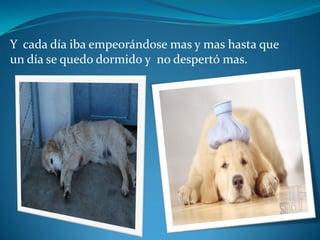 Y cada día iba empeorándose mas y mas hasta que
un día se quedo dormido y no despertó mas.
 