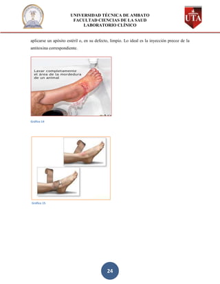 UNIVERSIDAD TÉCNICA DE AMBATO
                        FACULTAD CIENCIAS DE LA SAUD
                            LABORATORIO CLÍNICO


aplicarse un apósito estéril o, en su defecto, limpio. Lo ideal es la inyección precoz de la
antitoxina correspondiente.




Gráfico 14




Gráfico 15




                                            24
 