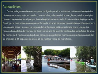 *atractivos:
Cruzar la laguna en bote es un paseo obligado para los visitantes, quienes a bordo de las
pintorescas embarcaciones pueden descubrir las bellezas de los manglares y de los múltiples
canales que conforman el parque, hasta llegar al extremo norte donde se ubica la playa de La
Restinga, la cual posee una arena conformada en gran parte por minúsculas conchas de mar y
unas aguas tibias y azules. La Laguna de La Restinga está considerada como uno de los
mejores humedales del mundo, es decir, como una de las más destacadas superficies de agua
de menos de 6 m de profundidad que conserva ecosistemas marinos en su estado natural. Allí
se protegen a 85 especies de aves, 20 de reptiles y diez de mamíferos.
 