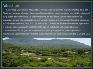 *atractivos:
Los cerros Guayamuri y Matasiete son dos de las elevaciones más importantes de la isla.
El primero se ubica al norte y tiene una altitud de 480 m; mientras que el otro está localizado al
sur y posee 680 m de altura. El cerro Matasiete es uno de los lugares más visitados de
Margarita, no sólo por su carácter de monumento natural sino por su valor histórico, dado que
en sus faldas se llevó a cabo el 31 de julio de 1817 la célebre Batalla de Matasiete, que marcó
el inicio de la desocupación española de la isla. En este lugar se halla un obelisco
conmemorativo. Es un gran escenario natural, en el que se pueden realizar paseos y
excursiones. Igualmente, los visitantes pueden bañarse en las bellas quebradas El Chorro y La
Fuente.
 
