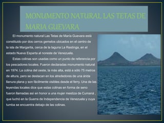 MONUMENTO NATURAL LAS TETAS DE
MARIA GUEVARA
El monumento natural Las Tetas de María Guevara está
constituido por dos cerros gemelos ubicados en el centro de
la isla de Margarita, cerca de la laguna La Restinga, en el
estado Nueva Esparta al noreste de Venezuela.
Estas colinas son usadas como un punto de referencia por
los pescadores locales. Fueron declaradas monumento natural
en 1974. La colina del oeste, la más alta, está a sólo 75 metros
de altura, pero se destacan en los alrededores de una árida
llanura plana y son fácilmente visibles desde el ferry. Una de las
leyendas locales dice que estas colinas en forma de seno
fueron llamadas así en honor a una mujer mestiza de Cumaná ,
que luchó en la Guerra de Independencia de Venezuela y cuya
tumba se encuentra debajo de las colinas.
 