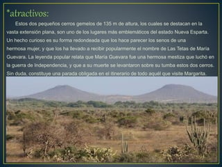 *atractivos:
Estos dos pequeños cerros gemelos de 135 m de altura, los cuales se destacan en la
vasta extensión plana, son uno de los lugares más emblemáticos del estado Nueva Esparta.
Un hecho curioso es su forma redondeada que los hace parecer los senos de una
hermosa mujer, y que los ha llevado a recibir popularmente el nombre de Las Tetas de María
Guevara. La leyenda popular relata que María Guevara fue una hermosa mestiza que luchó en
la guerra de Independencia, y que a su muerte se levantaron sobre su tumba estos dos cerros.
Sin duda, constituye una parada obligada en el itinerario de todo aquél que visite Margarita.
 