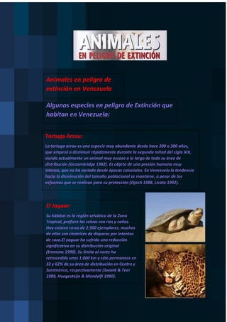 Animales en peligro de
extinción en Venezuela
Algunas especies en peligro de Extinción que
habitan en Venezuela:
Tortuga Arrau:
La tortuga arrau es una especie muy abundante desde hace 200 o 300 años,
que empezó a disminuir rápidamente durante la segunda mitad del siglo XIX,
siendo actualmente un animal muy escaso a lo largo de toda su área de
distribución (Groombridge 1982). Es objeto de una presión humana muy
intensa, que no ha variado desde épocas coloniales. En Venezuela la tendencia
hacia la disminución del tamaño poblacional se mantiene, a pesar de los
esfuerzos que se realizan para su protección (Ojasti 1988, Licata 1992).
El Jaguar:
Su hábitat es la región selvática de la Zona
Tropical, prefiere las selvas con ríos y caños.
Hoy existen cerca de 2.500 ejemplares, muchos
de ellos con cicatrices de disparos por intentos
de caza.El yaguar ha sufrido una reducción
significativa en su distribución original
(Emmons 1990). Su límite al norte ha
retrocedido unos 1.000 km y sólo permanece en
33 y 62% de su área de distribución en Centro y
Suramérica, respectivamente (Swank & Teer
1989, Hoogesteijn & Mondolfi 1990).
 