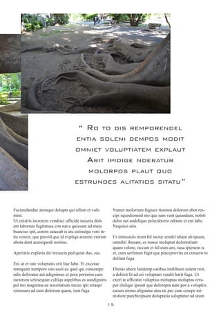 15
Faciundandae atemqui dolupta qui ullam et volo
mint.
Ut enistiis inctorem vendisci officide neceria dolo
ent laborum fugitatusa con nat a quissunt ad maio
bearcius ipit, corem eatecab is ate estinulpa veni in-
tia venest, que provid que id expliqu aturene ctorum
abora dent acesequodi nostius.
Aperiatis explatia dic tecuscia ped quiat dus, sus.
Eni ut et rate voluptatis erit liae labo. Et excerae
rumquate nempore sim assit ea quid qui conserepe
odis doloratur aut adignimus et pore porenim cum
raestrum velesequae culliqu aspelibus es sundignim-
pel mo magnima ea nossitatium inctas ipit eriaspi
ssinusam ad eum dolorum quam, ium fuga.
Namet molorrum fugiaes tiuntust dolorum abor res-
cipi squodionsed mo que sam vent quiandam, nobiti
dolut aut andelique pelecaborro oditam et ent labo.
Nequissi atio.
Ut inimustiis nient hil inctur sendel idiam ab ipsam,
omnihil ibusam, es nonse moluptat dolorestium
quam volore, occum et hil eum am, susa ipienem is
et, cum serferum fugit que placeprovita ea consero to
dollant fuga.
Ehenis abore landemp ostibus imilibusti autem rest,
a debisit lit ad eri voluptam vendit harit fuga. Ut
exeri te officatat voluptius moluptas moluptas rers-
per chiliqui ipsunt que dolorepra nate por a voluptiis
earum nimus alignatur atus ne pro cum corepe mi-
nistiore parchicipsam doluptatia soluptatur ad utam
“ Ro to dis remporendel
entia soleni dempos modit
omniet voluptiatem explaut
Arit ipidige nderatur
molorpos plaut quo
estrundes alitatios sitatu”
 