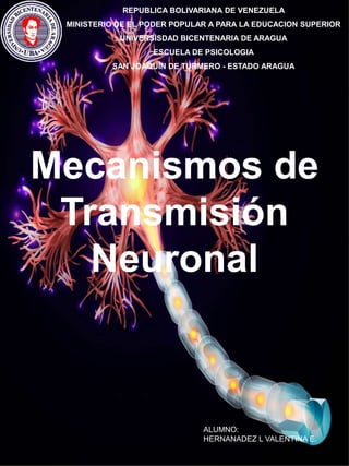 REPUBLICA BOLIVARIANA DE VENEZUELA
MINISTERIO DE EL PODER POPULAR A PARA LA EDUCACION SUPERIOR
UNIVERSISDAD BICENTENARIA DE ARAGUA
ESCUELA DE PSICOLOGIA
SAN JOAQUÍN DE TURMERO - ESTADO ARAGUA
ALUMNO:
HERNANADEZ L VALENTINA E.
Mecanismos de
Transmisión
Neuronal
 