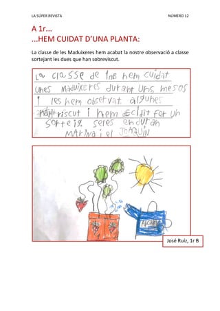 LA SÚPER REVISTA NÚMERO 12
A 1r...
...HEM CUIDAT D’UNA PLANTA:
La classe de les Maduixeres hem acabat la nostre observació a classe
sortejant les dues que han sobreviscut.
José Ruíz, 1r B
 