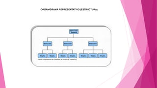 ORGANIGRAMA REPRESENTATIVO (ESTRUCTURA)
 