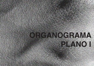 ORGANOGRAMA
PLANO I
 