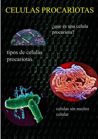 Revista ... celulas procariotas