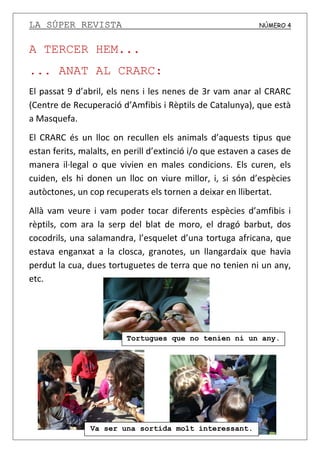 LA SÚPER REVISTA NÚMERO 4
A TERCER HEM...
... ANAT AL CRARC:
El passat 9 d’abril, els nens i les nenes de 3r vam anar al CRARC
(Centre de Recuperació d’Amfibis i Rèptils de Catalunya), que està
a Masquefa.
El CRARC és un lloc on recullen els animals d’aquests tipus que
estan ferits, malalts, en perill d’extinció i/o que estaven a cases de
manera il·legal o que vivien en males condicions. Els curen, els
cuiden, els hi donen un lloc on viure millor, i, si són d’espècies
autòctones, un cop recuperats els tornen a deixar en llibertat.
Allà vam veure i vam poder tocar diferents espècies d’amfibis i
rèptils, com ara la serp del blat de moro, el dragó barbut, dos
cocodrils, una salamandra, l’esquelet d’una tortuga africana, que
estava enganxat a la closca, granotes, un llangardaix que havia
perdut la cua, dues tortuguetes de terra que no tenien ni un any,
etc.
Va ser una sortida molt interessant.
Tortugues que no tenien ni un any.
 