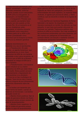 • Reproducción parasexual, para
obtener variabilidad y adaptarse a
diferentes ambientes, entre las
bacterias puedes ocurrir intercambio
de ADN como la conjugación, la
transdución y la transformación.
o Conjugación: Proceso que
ocurre cuando una bacteria hace
contacto con otra usando un hilo
llamado PILI. En el momento en el
que los citoplasmas están
conectados, el individuo donante
(considerado como masculino)
transfiere parte de su ADN a otro
receptor (considerado como
femenino) que lo incorpora (a través
del PILI) a su dotación genética
mediante recombinación y lo
transmite a su vez al reproducirse.
o Transducción: En este
proceso, un agente transmisor, que
generalmente es un virus, lleva
fragmentos de ADN de una bacteria
parasitada a otra nueva receptora, de
tal forma que el ADN de la Bacteria
parasitada se integra al ADN de la
nueva bacteria.
o Transformación: Una bacteria
puede introducir en su interior
fragmentos de ADN que están libres
en el medio. Estos pueden provenir
del rompimiento o degradación de
otras bacterias a su alrededor.
• Coco es un tipo morfológico de
bacteria. Tiene forma más o menos
esférica (ninguna de sus dimensiones
predomina claramente sobre las
otras).
• Los bacilos son bacterias que
tienen forma de bastón, cuando se
observan al microscopio. Los bacilos
se suelen dividir en:
o Bacilos Gram positivos: fijan el
violeta de genciana (tinción de Gram)
en la pared celular porque carecen de
capa de lipopolisacáridos.
o Bacilos Gram negativos: no
fijan el violeta de genciana porque
poseen la capa de lipopolisacárido.
• Vibrio es un género de bacterias, incluidas en el
grupo gamma de las proteobacterias. Varias de las
especies de Vibrio son patógenas, provocando
enfermedades del tracto digestivo, en especial Vibrio
cholerae, el agente que provoca el cólera, y Vibrio
vulnificus, que se transmite a través de la ingesta de
marisco.
• Los espirilos son bacterias flageladas de forma
helicoidal o de espiral. Se desplazan en medios
viscosos avanzando en tornillo. Su diámetro es muy
pequeño, lo que hace que puedan atravesar las
mucosas; por ejemplo Treponema pallidum que
produce la sífilis en el hombre. Son más sensibles a
las condiciones ambientales que otras bacterias, por
ello cuando son patógenas se transmiten por
contacto directo (vía sexual) o mediante vectores,
normalmente artrópodos hematófagos
 