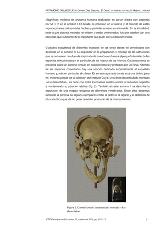 PATRIMONIO EN LA ESCUELA. Carmen Díez Sánchez. “El Goya”, un instituto con mucha Historia…Natural


Magníﬁcos modelos de anatomía humana realizados en cartón piedra son descritos
por M. y P. en el armario I. El detalle, la precisión en el relieve y el colorido de estas
reproducciones policromadas hechas y pintadas a mano es admirable. En la actualidad,
pese a que algunos modelos no existen o están deteriorados, los que quedan dan una
idea más que suﬁciente de lo importante que pudo ser la colección inicial.



Cuidados esqueletos de diferentes especies de las cinco clases de vertebrados son
descritas en el armario II. La exquisitez en la preparación y montaje de las estructuras
que se conservan resulta más sorprendente cuando se observa el pequeño tamaño de las
especies seleccionadas y, en particular, de los huesos de las mismas. Cada osamenta se
presenta sobre un soporte vertical, en posición natural y protegido por un fanal. Además
de las especies comentadas hay una sección dedicada especialmente al esqueleto
humano y, más en particular, al cráneo. Es en este apartado donde está una de las, para
mí, mejores piezas de la colección del Instituto Goya: un cráneo desarticulado montado
«à la Beauchêne», es decir, con todos los huesos sueltos unidos a pequeños soportes
y manteniendo su posición relativa (ﬁg. 2). También en este armario II se describe la
exposición de una mezcla variopinta de diferentes vertebrados. Entre ellos debemos
lamentar la pérdida de algunos ejemplares como el delfín o el lagarto y el deterioro de
otros muchos que, de no poner remedio, acabarán de la misma manera.




                    Figura 2. Cráneo humano desarticulado montado «à la
                    Beauchêne».


CEE Participación Educativa, 12, noviembre 2009, pp. 207-217                                 211
 