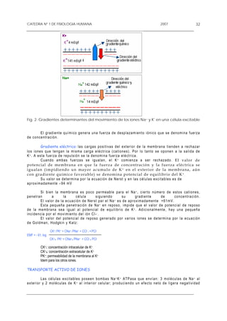CATEDRA Nº 1 DE FISIOLOGIA HUMANA                                                                                2007                          32




Fig. 2: Gradientes determinantes del movimiento de los iones Na+ y K* en una célula excitable


           E l g r ad i e nt e q u í m i co g e ne r a un a f uerz a d e d e s p l aza m i e nt o i ó nic o q u e s e de n o m in a f uerz a
d e c on c e nt r aci ó n .

             Gradiente eléctrico: l a s c a r ga s p o s it iva s d e l e xt er i o r d e l a m em br a na t i en de n a r e ch a z ar
l o s i o ne s q ue t en g an la m i s m a c ar ga e l é c tr i ca ( ca t i o ne s ) . Por l o t a nt o se o p o ne n a la s a l i d a d e
K + . A e s ta fue r z a d e r e pu lsi ó n s e l a d en o m i na fu er za e l é ct r i ca .
             C u an d o am ba s f u er z a s s e i g u a l an , e l K + c o m ien z a a s er r e c h a z ad o . El val or de
p o t e nci a l d e me m bran a e n q u e l a f u erz a de c on ce n t r a ci ó n y l a fu erza elé ctr ica se
i guala n (impidi e ndo u n mayor a cu mul o de K + e n el e x te ri or d e la me mbra na, aú n
con gra diente quími co fa vora bl e) se denomi na pote ncial de equ ilibrio del K + .
             S u v a l or s e de t er m in a p or l a e c ua c i ó n de N er s t y e n l a s c é l u la s ex c i t a b l e s e s d e
a p r o x i ma d ame n t e – 94 mV

               S i b i e n l a me m br an a e s p o c o p er m e ab l e p ar a e l N a + , c i er t o nú m er o de e st o s c a t i on e s ,
p e n et r a n            a       la           célula         s i g u i e nd o    su         g r ad i e nt e      de        c o n c e ntr a c i ón.
               E l v a l or d e la e c u a c ió n d e N er st pa r e l N a + e s d e a pr o x im a da m ent e + 6 1m V .
               E s t a pe q ue ña p en e tr a c ión d e N a + e n r e po s o , i mp i d e qu e e l v al o r d e p o te nc i a l d e r e p o so
d e l a m e m br a n a s ea i g ua l a l p o t e n c ia l d e e qu i l i br i o de K + . Ad i c i o n a lm e nte , h a y un a p e q ue ñ a
i n c i d e n c ia por e l mo v i m i en t o d e l ió n C l - - .
               E l v a l or d e l p o t en c i a l de r e po s o g e ne r a d o por v ar io s i o n e s se d e t erm i n a p or l a e c u a c ió n
d e G o ld m an , H o dg k i n y K at z :

                   CK+i PK+ + CNa+i PNa+ + CCl- i + PCl-
EMF = - 61. log
                   CK+e PK+ + CNa+e PNa+ + CCl- e PCl-

           CK+i: concentración intracelular de K+
           CK+e: concentración extracelular de K+
           PK+: permeabilidad de la membrana al K+
           Idem para los otros iones.

TRANSPORTE ACTIVO DE IONES

         Las célu las excitables po seen bombas Na + K + ATP a s a q u e e nv í a n : 3 m o léc u l a s de N a + a l
exter ior y 2 molécula s de K + a l in t er ior c e lu l ar ; p r od u c i e nd o un e f e c to n et o d e l i g era n eg a t i v i da d
 