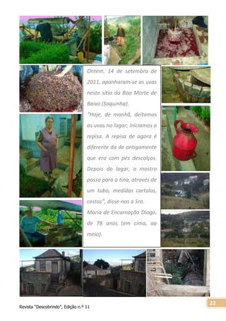 Revista “Descobrindo”, Edição n.º 11
22
Ontem, 14 de setembro de
2011, apanharam-se as uvas
neste sítio da Boa Morte de
Baixo (Soquinha).
“Hoje, de manhã, deitamos
as uvas no lagar; iniciamos a
repisa. A repisa de agora é
diferente da de antigamente
que era com pés descalços.
Depois do lagar, o mostro
passa para a tina, através de
um tubo, medidas cartolas,
cestos”, disse-nos a Sra.
Maria de Encarnação Diogo,
de 78 anos (em cima, ao
meio).
 