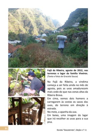 Revista “Descobrindo”, Edição n.º 11
31
Fajã da Ribeira, agosto de 2012, nos
terrenos e lagar da família Viveiros.
(Texto e fotos de Graciela Sousa)
Na Fajã da Ribeira, a vindima
começa a ser feita ainda no mês de
agosto, pois as uvas amadurecem
mais cedo do que nas zonas altas da
Ribeira Brava.
Em cima, vemos dois homens a
carregarem às costas os sacos das
uvas, do terreno em direção à
estrada.
No meio, a apanha da uva.
Em baixo, uma imagem do lagar
que irá recolher as uvas para a sua
pisa.
 