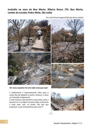 Revista “Descobrindo”, Edição n.º 11
47
Por vezes espanto-me com cada coisa que vejo!
E infelizmente é impressionante olhar para a
nossa Ilha da Madeira a preto e branco, é como
ver televisão antigamente.
É uma tristeza o que fizeram à nossa ilha, como é
possível ter a coragem de atear fogo às florestas
e tudo mais, que, no fundo, são elas que
produzem o que necessitamos para viver?!
Incêndio na zona da Boa Morte, Ribeira Brava. (Til, Boa Morte,
Lombo da Levada; Pedra Mole, São João)
Por José Côrte (imagens)/Cláudia Abreu (texto)
 