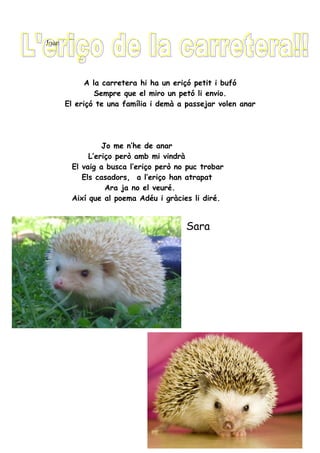 Joan




             A la carretera hi ha un eriçó petit i bufó
                Sempre que el miro un petó li envio.
       El eriçó te una família i demà a passejar volen anar




                 Jo me n’he de anar
             L’eriço però amb mi vindrà
        El vaig a busca l’eriço però no puc trobar
           Els casadors, a l’eriço han atrapat
                  Ara ja no el veuré.
        Així que al poema Adéu i gràcies li diré.


                                        Sara
 