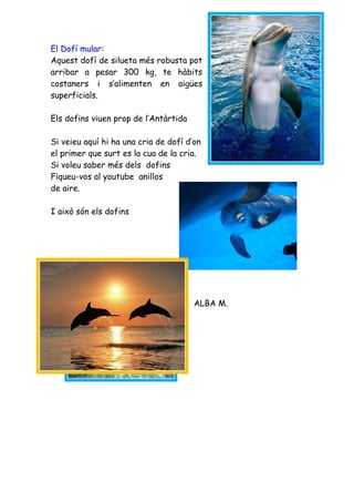 El Dofí mular:
Aquest dofí de silueta més robusta pot
arribar a pesar 300 kg, te hàbits
costaners i s’alimenten en aigües
superficials.

Els dofins viuen prop de l’Antàrtida

Si veieu aquí hi ha una cria de dofí d’on
el primer que surt es la cua de la cria.
Si voleu saber més dels dofins
Fiqueu-vos al youtube anillos
de aire.

I això són els dofins




                                       ALBA M.
 