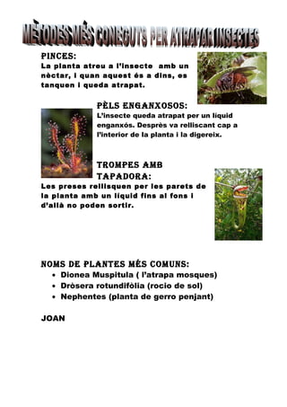PINCES:
La planta atreu a l’insecte amb un
nèctar, i quan aquest és a dins, es
tanquen i queda atrapat.


             PèlS ENgaNxoSoS:
             L’insecte queda atrapat per un líquid
             enganxós. Desprès va relliscant cap a
             l’interior de la planta i la digereix.



             TromPES amb
             TaPadora:
Les preses rellisquen per les parets de
la planta amb un líquid fins al fons i
d’allà no poden sortir.




NomS dE PlaNTES méS ComuNS:
  • Dionea Muspitula ( l’atrapa mosques)
  • Dròsera rotundifòlia (rocio de sol)
  • Nephentes (planta de gerro penjant)

JOAN
 