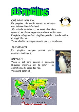QUÈ SÓN I COM SÓN
Els pingüins són ocells marins no voladors
que habiten l’hemisferi sud.
Són animals vertebrats. Les seves ales s’han
convertit en aletes, segurament abans podien volar.
L’espècie més gran és el pingüí emperador i la més petita
el pingüí blau nan.
Tenen els dits de les potes units per una membrana.

 QUE MENGEN
Els pingüins mengen        peixos,   petits
crustacis i calamars.

ON VIUEN
Viuen al pol nord perquè si passessin
l’Equador moririen per la calor i els
científics no hi poden fer res.
Viuen amb colònies.
 