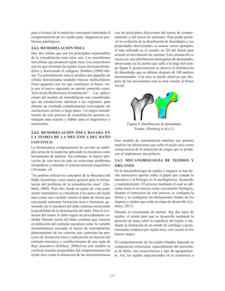117
para el avance de la medicina veterinaria simulando el
comportamiento de los tejidos para diagnosticar pro-
blemas patológicos.
2.4.1. REMODELACIÓN ÓSEA
Hay dos células que son los principales responsables
de la remodelación ósea estos son: Los osteoblastos
son células que producen tejido óseo. Los osteoclastos
son los que eliminan los tejidos óseos desmineralizán-
dolos y disolviendo el colágeno. Doblaré (2004) afir-
ma “La remodelación ósea se produce por paquetes de
células denominadas unidades básicas multicelulares
Estos paquetes son los que sustituyen el hueso vie-
jo por el nuevo siguiendo un patrón conocido como:
Activación-Reabsorción-Formulación”. Las aplica-
ciones del modelo de remodelación son consideradas
que las simulaciones idénticas a las originales, para
obtener un resultado completamente convergente sin
oscilaciones incluso a largo plazo. Un mejor entendi-
miento de este proceso de remodelación permite es-
trategias más exactas y fiables para el diagnóstico y
tratamiento.
2.4.2. REMODELACIÓN ÓSEA BASADA EN
LA TEORÍA DE LA MECÁNICA DEL DAÑO
CONTINUO
La biomecánica computacional ha servido en múlti-
ples áreas de la medicina aplicando la mecánica como
herramienta de análisis. Sin embargo, la mayor apli-
cación de esta área ha sido en solucionar problemas
ortopédicos y entender el sistema músculo esquelético
(Alvarado, sf).
“Se podrían utilizar los conceptos de la Mecánica del
Daño Anisótropo como marco general para la formu-
lación del problema de la remodelación ósea”. (Do-
blaré, 2000). Para ello, desde un punto de vista pura-
mente matemático se consideran a los poros del tejido
óseo como una variable similar al daño de forma que
esta puede aumentar formación ósea o disminuir, ge-
nerando así la mecánica del daño continuo incluyendo
la posibilidad de la disminución del daño. Para la evo-
lución del tensor se debe seguir un procedimiento es-
tándar llamado teoría del daño continuo que consiste
en definición del estímulo mecánico como la variable
termodinámica asociada al tensor de remodelación;
planteamiento de los criterios que controlan los pro-
cesos de formación ósea y reabsorción en función del
estímulo mecánico y establecimiento de una regla de
flujo asociativo (Doblare, 2004).Con este modelo se
verifican muchas propiedades del comportamiento del
tejido óseo como la alineación de las microestructuras
con las principales direcciones del tensor de compor-
tamiento y del tensor de tensiones. Para poder prede-
cir la evolución de la distribución de densidades y sus
propiedades direccionales se usaron varios ejemplos,
el más utilizado es el estudio en 2D del fémur para
simular el movimiento de caminar. Esta simulación se
inicia con una distribución homogénea de densidades,
observando así el cambio que sufre a lo largo del tiem-
po figura 4, posteriormente se observa la distribución
de densidades que se obtiene después de 300 análisis
incrementados. Con esto se puede observar que des-
pués de los incrementos este es muy similar al fémur
inicial.
Figura 4. Distribución de densidades
Fuente: (Rueberg et al,s.f.)
Este modelo de remodelación también nos permite
analizar las alteraciones que sufre el tejido óseo como
consecuencia de la transición de cargas que se produ-
cen al implantarse una prótesis.
2.4.3. MECANOBIOLOGÍA DE TEJIDOS Y
ÓRGANOS
En la mecanobiología de tejidos y órganos se han he-
cho numerosos aportes sobre el papel que cumple la
mecánica y la biología en la morfogénesis, desarrollo
y mantenimiento. El proceso mediante el cual se adi-
ciona masa se la conoce como crecimiento biológico,
durante el transcurso de este proceso se configura la
forma y se configuran las dimensiones finales de los
órganos y tejidos que están en etapa de desarrollo (La-
dinez, 2011).
Durante el crecimiento de animal hay dos tipos de
tejidos: el tejido duro que se desarrolla mediante la
posición de masa sobre la superficie del tejido, o me-
diante la formación de un molde de cartílago y poste-
riormente remplazo por tejido óseo, esto ocurre en los
huesos largos.
El comportamiento de los tejidos blandos depende su
composición estructural, especialmente del porcenta-
je de fibras, sus características y tipo de agrupamien-
to. Así, los tejidos especializados en la resistencia a
 