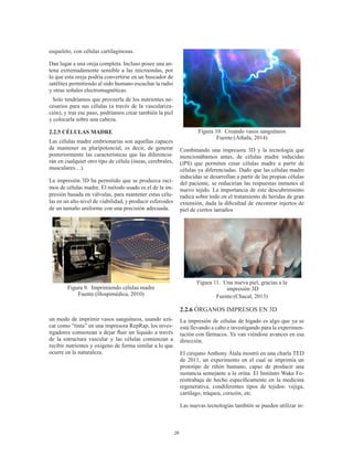 28
esqueleto, con células cartilaginosas.
Dan lugar a una oreja completa. Incluso posee una an-
tena extremadamente sensible a las microondas, por
lo que esta oreja podría convertirse en un buscador de
satélites permitiendo al oído humano escuchar la radio
y otras señales electromagnéticas.
 Solo tendríamos que proveerla de los nutrientes ne-
cesarios para sus células (a través de la vasculariza-
ción), y tras ese paso, podríamos crear también la piel
y colocarla sobre una cabeza.
2.2.5 CÉLULAS MADRE
Las células madre embrionarias son aquellas capaces
de mantener su pluripotencial, es decir, de generar
posteriormente las características que las diferencia-
rán en cualquier otro tipo de célula (óseas, cerebrales,
musculares…).
La impresión 3D ha permitido que se produzca raci-
mos de células madre. El método usado es el de la im-
presión basada en válvulas, para mantener estas célu-
las en un alto nivel de viabilidad, y producir esferoides
de un tamaño uniforme con una precisión adecuada.
Figura 9. Imprimiendo células madre
Fuente:(Hospimédica, 2010)
un modo de imprimir vasos sanguíneos, usando azú-
car como “tinta” en una impresora RepRap, los inves-
tigadores comienzan a dejar fluir un líquido a través
de la estructura vascular y las células comienzan a
recibir nutrientes y oxígeno de forma similar a lo que
ocurre en la naturaleza.
Figura 10. Creando vasos sanguíneos
Fuente:(Athala, 2014)
Combinando una impresora 3D y la tecnología que
mencionábamos antes, de células madre inducidas
(iPS) que permiten crear células madre a partir de
células ya diferenciadas. Dado que las células madre
inducidas se desarrollan a partir de las propias células
del paciente, se reducirían las respuestas inmunes al
nuevo tejido. La importancia de este descubrimiento
radica sobre todo en el tratamiento de heridas de gran
extensión, dada la dificultad de encontrar injertos de
piel de ciertos tamaños
.
Figura 11. Una nueva piel, gracias a la
impresión 3D
Fuente:(Chacal, 2013)
2.2.6 ÓRGANOS IMPRESOS EN 3D
La impresión de células de hígado es algo que ya se
está llevando a cabo e investigando para la experimen-
tación con fármacos. Ya van viéndose avances en esa
dirección.
El cirujano Anthony Átala mostró en una charla TED
de 2011, un experimento en el cual se imprimía un
prototipo de riñón humano, capaz de producir una
sustancia semejante a la orina. El Instituto Wake Fo-
resttrabaja de hecho específicamente en la medicina
regenerativa, condiferentes tipos de tejidos: vejiga,
cartílago, tráquea, corazón, etc.
Las nuevas tecnologías también se pueden utilizar in-
 