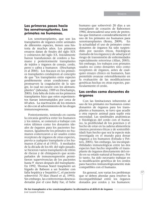 Informe especialInforme especialEnsayosEnsayosEnsayosEnsayosEnsayosEnsayosEnsayosEnsayos
De los transplantes a los xenotransplantes: la alternativa al déficit de órganos
José Luzardo Estrada
67
Los primeros pasos hacia
los xenotransplantes. Los
primates no humanos.
Los xenotransplantes, que son los
transplantes de órganos entre animales
de diferentes especies, tienen una his-
toria de muchos años. Los primeros
ensayos datan de finales del siglo XIX
y comienzos del siglo XX. Inicialmente
fueron transfusiones de cordero a hu-
mano y posteriormente transplantes
de tejidos y órganos de conejo, cerdo,
perro y cabra a humanos (Deschamps
et al 2005). Los fracasos en los primer-
os transplantes condujeron al concepto
de que “los transplantes entre especies
posiblemente crean condiciones que
promueven la coagulación de la san-
gre, lo cual no ocurre con los alotrans-
plantes” (Jaboulay, 1909 en Deschamps,
2005). Esta falta de éxito en los primeros
transplantes hizo que estos experimen-
tos fueran interrumpidos por cerca de
60 años. La reactivación de los mismos
se dio con al advenimiento de las drogas
inmunosupresoras.
Posteriormente, teniendo en cuenta
la cercanía genética entre los humanos
y los simios, se comenzó a trabajar con
estos últimos como los donantes ide-
ales de órganos para los pacientes hu-
manos. Igualmente los primates no hu-
manos comenzaron a ser usados como
receptores de órganos de otras especies,
previo a cualquier transplante a los hu-
manos (Calne et al 1955). A mediados
de la década de los 60, del siglo pasado,
se hicieron varios transplantes de riñón
de rhezus y de chimpancés que acom-
pañados de inmunosupresión permi-
tieron supervivencias de los pacientes
hasta 9 meses después del transplante.
En 1992, Thomas Starzl trasplantó un
hígado de Baboon a un hombre con
falla hepática y hepatitis C, el paciente
sobrevivió 70 días (Starzl et al, 1993).
Sin embargo, las controversias desenca-
denadas por el caso Baby Fae, el bebe
humano que sobrevivió 20 días a un
transplante de corazón de Baboonen
1984, desencadenó una serie de protes-
tas que limitaron considerablemente el
uso de los primates no humanos para
xenotransplantes (Remy, 2009). En
la actualidad el uso de primates como
donantes de órganos ha sido suspen-
dido por razones éticas, fisiológicas
(tamaño de los órganos) y de salud por el
riesgo de transmisión de enfermedades
especialmente retrovirus (Allan, 2003).
Sin embargo, los trabajos con primates
usados no como donantes sino como
receptores de órganos, antes de cual-
quier ensayo clínico en humanos, han
permitido avanzar ostensiblemente en
la evaluación de las modificaciones
genéticas hechas en otras especies, par-
ticularmente el cerdo.
Los cerdos como donantes de
órganos
Con las limitaciones inherentes al
uso de los primates no humanos como
donantes de órganos para los trans-
plantes a humanos, se tuvo que acudir
a otra especie animal para suplir esta
necesidad. Las similitudes anatómicas
y fisiológicas del cerdo con el huma-
no, la prolificidad de los porcinos y el
hecho de estar en la cadena alimenticia
(menos presiones éticas y de sostenibil-
idad) han hecho que sea la especie más
investigada en el mundo para donar
órganos a los humanos (Estrada y Pet-
ters, 2005). Sin embargo, las incompat-
ibilidades inmunológicas entre las dos
especies han hecho imposible el trans-
plante de órganos directamente del cer-
do en su estado natural al humano. Por
lo tanto, ha sido necesario trabajar en
la modificación genética de los cerdos
para hacerlos inmunológicamente más
compatibles con el humano.
En general, son varias los problemas
que se deben abordar para resolver la
incompatibilidad entre los órganos
donados por cerdos y los humanos:
 