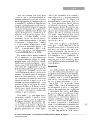 Informe especialInforme especialEnsayosEnsayosEnsayosEnsayosEnsayosEnsayosEnsayosEnsayos
De los transplantes a los xenotransplantes: la alternativa al déficit de órganos
José Luzardo Estrada
69
Otros mecanismos que están rela-
cionados con la incompatibilidad de
los órganos de cerdos para los primates
son la inflamación y los desarreglos en
la coagulación sanguínea. La microan-
giopatia trombocitopenica está caracte-
rizada por trombocitopenia progresiva,
elevación del tiempo de coagulación,
coagulación intravascular dentro del
órgano transplantado, trombosis y fi-
nalmente falla total del órgano (Gock
et al 2011). En este sentido, se han
producido cerdos con modificaciones
para trombomodulina que es un regu-
lador del ciclo de la proteína C (Miwa
et al 2010), el factor Willebrand (vWF)
envuelto en coagulación (Cantu et al
2007), hemoxigenasa-1 (HO-1) rela-
cionado con efecto antiinflamatorio
(Yeom et al 2012, Park et al 2014).
Más recientemente, Mohiuddin et al
(2014) publicaron un gran avance en
la supervivencia por más de un añode
un corazón de cerdo deficiente en α-1-
3 gal (reacción inmunológica) y trans-
génico para el CD 46 (inhibición de la
activación del complemento) y el gen
de la trombomodulina (prevención de
la coagulación) humana, el cual fue
transplantado heterotróficamente a un
baboon. La combinación de múltiples
modificaciones genéticas y tratamien-
tos inmunomoduladores incrementan
significativamente la supervivencia de
los órganos xenotransplantados. Estos
resultados marcan un hito sin prece-
dentes en la historia de los xenotrans-
plantes y nos hacen creer que los ensa-
yos clínicos en humanos estarían más
cerca de lo que se pensaba.
Otros avances en materia de xeno-
transplantes usando el modelo porci-
no, tienen que ver con la generación
de órganos humanos en el cerdo a tra-
vés de la generación de quimeras. Es-
tos modelos de quimeras se basan en
los trabajos de Matsurani et al (2013)
quienes produjeron un cerdo apan-
creático por transferencia de núcleos y
luego regeneraron el páncreas median-
te complementación de blastocitos
utilizando embriones sin esta deficien-
cia. Estos trabajos que fueron hechos
inicialmente en ratones usando com-
plementación dentro de especies fue-
ron posteriormente revalidados entre
especies por complementación de los
órganos de ratas y ratones(Kobayashi
et al 2010). Otros trabajos han usado
células humanas transferidas a embrio-
nes de cerdo antes de su implantación
(Estrada et al 2011).
Son varios los grupos y muchas las
ideas que se están trabajando en el
mundo alrededor de la solución de la
deficiencia de órganos para los trans-
plantes a humanos. Los resultados, ya
sea con la modificación de la genética
de los cerdos o con la producción de
órganos “humanizados” en el cerdo
muestran que se tienen opciones para
resolver el mismo problema desde dife-
rentes ángulos.
Zoonosis
Uno de los temores que se tiene con
el uso del cerdo como donante de órga-
nos para es la transmisión de enferme-
dades, especialmente de origen retrovi-
ral (PERV). Los PERVs están presentes
en todas las razas de cerdos e incluyen
los beta y gama retrovirus (PERV A,
PERV B and PERV C). El gran riesgo
con los PERV es que si se transmitieran
a los humanos in vivo, no solo afec-
tarían a los pacientes que recibieron
el transplante sino a otros individuos
que estuvieran en contacto con el pa-
ciente. Sin embargo, a pesar de que se
ha encontrado transmisión de estos re-
trovirus a células de otras especies en
cultivos in vitro (Denner 2003), no se
ha podido comprobar la transmisión
de los PERV del cerdo a los humanosen
estudios hechos transplantando tejido
pancreático in vivo (Valdés-González
et al 2007, Wynyard et al 2014).La mis-
 