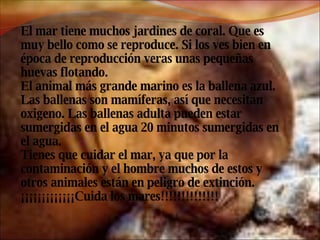El mar tiene muchos jardines de coral. Que es muy bello como se reproduce. Si los ves bien en época de reproducción veras unas pequeñas huevas flotando.  El animal más grande marino es la ballena azul. Las ballenas son mamíferas, así que necesitan oxigeno. Las ballenas adulta pueden estar sumergidas en el agua 20 minutos sumergidas en el agua. Tienes que cuidar el mar, ya que por la contaminación y el hombre muchos de estos y otros animales están en peligro de extinción. ¡¡¡¡¡¡¡¡¡¡¡¡¡Cuida los mares!!!!!!!!!!!!!! 
