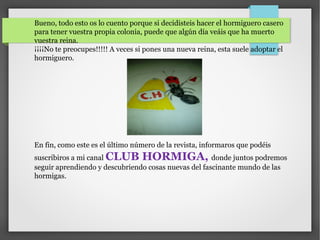 Bueno, todo esto os lo cuento porque si decidisteis hacer el hormiguero casero
para tener vuestra propia colonia, puede que algún día veáis que ha muerto
vuestra reina.
¡¡¡¡No te preocupes!!!!! A veces si pones una nueva reina, esta suele adoptar el
hormiguero.
En fin, como este es el último número de la revista, informaros que podéis
suscribiros a mi canal CLUB HORMIGA, donde juntos podremos
seguir aprendiendo y descubriendo cosas nuevas del fascinante mundo de las
hormigas.
 
