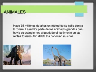 ANIMALES
Hace 65 miliones de años un meteorito se callo contra
la Tierra. La mallor parte de los animales grandes que
havia se estingio nos a quedado el testimonio en las
rectas fossiles. Sin debte los conocian muchos.
 